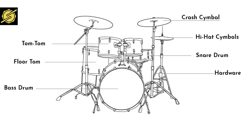 Drums Anatomy 101