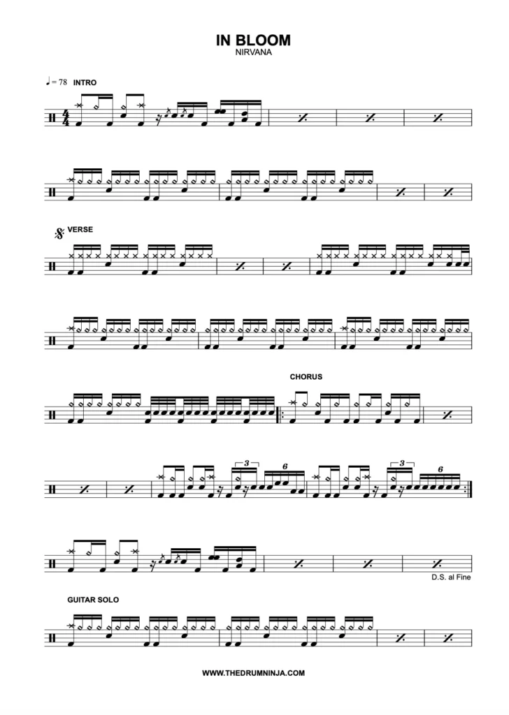 In Bloom Drum Transcription